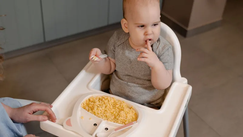 Bir yaş bebek beslenmesi için aile sofrasında mama sandalyesindeki çocuğa yumuşak yiyecek sunan anne